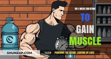 Creatine for Muscle Gain: Essential Supplement or Optional Boost?