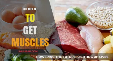 Fuel Your Gains: The Truth About Fat and Muscle Building