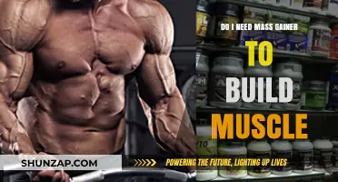 Do You Need Mass Gainer to Build Muscle? The Truth