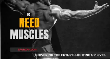 Building Muscles: Are They Necessary or Just Vain?