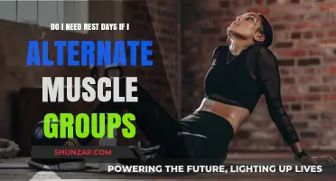 Alternating Muscle Groups: Do Rest Days Still Matter for Recovery?