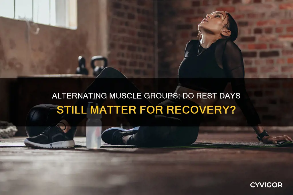 do i need rest days if i alternate muscle groups