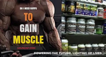 Do You Really Need Supplements to Build Muscle Effectively?