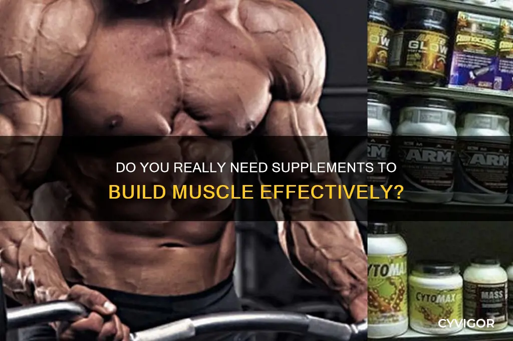 do i need supps to gain muscle