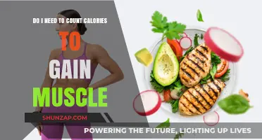 Calorie Counting for Muscle Gain: Essential or Optional?