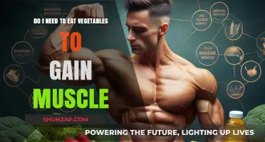 Muscle Building Without Veggies: Myth or Feasible Reality?