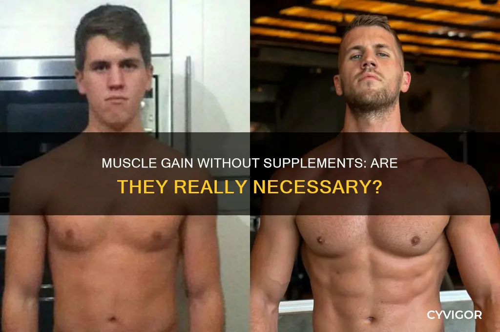 do i need to take supplements to gain muscle