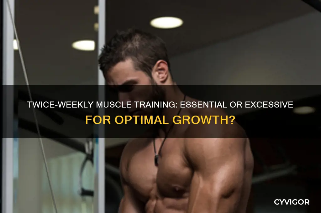 do i need to train muscle groups twice a week