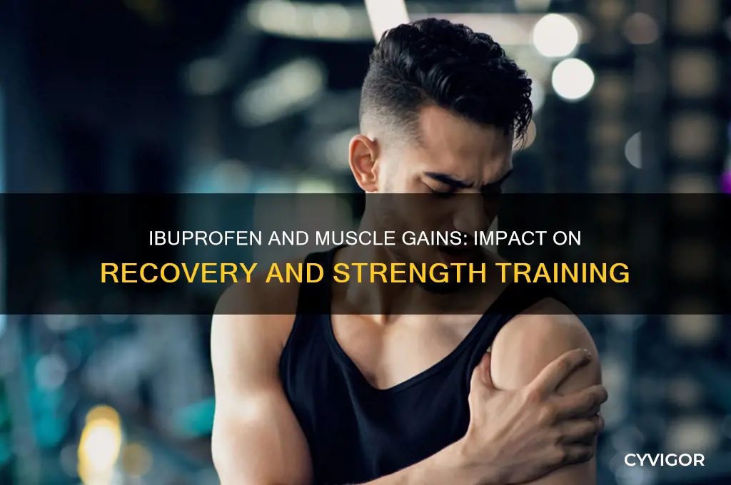 do ibuprofen affect muscle gains