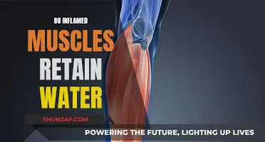 Inflamed Muscles and Water Retention: What's the Link?