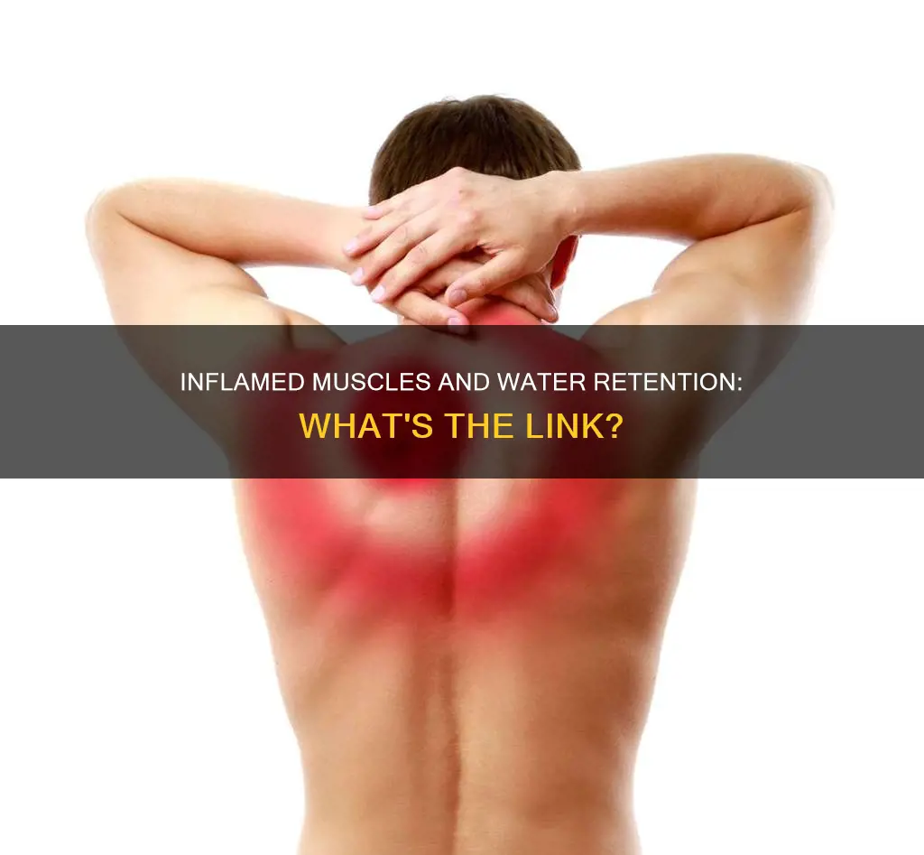 do inflamed muscles retain water