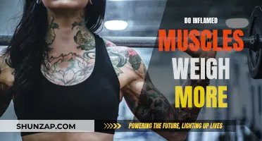 Inflamed Muscles: Heavier or Inflamed Myth?