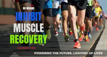 How Insomnia Impacts Muscle Recovery and Performance