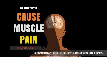 Insect Bites: Unseen Muscle Pain Culprit