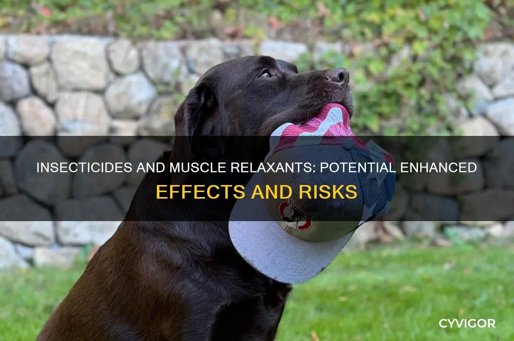 do insecticides increase the effect of muscle relaxants