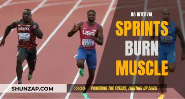 Interval Sprints: Burning Muscle or Myth?