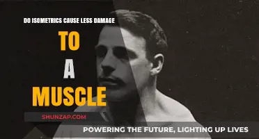 Isometrics: Muscle Damage and Growth