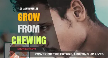 Can Chewing Strengthen Jaw Muscles? Exploring the Science Behind It