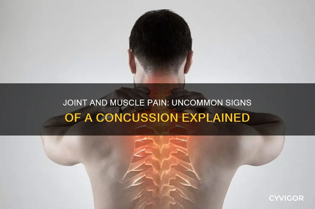 do joint and muscle pain describe a concussion