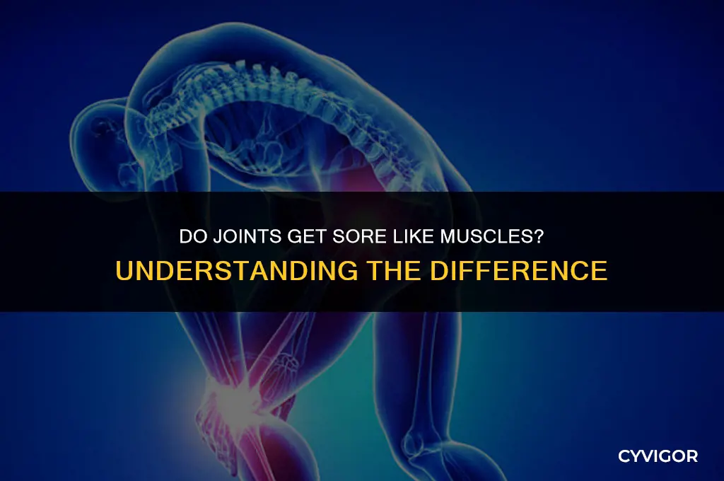 do joints get sore like muscles