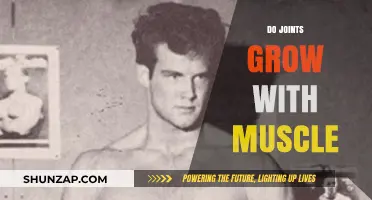Do Joints Grow with Muscle? Unraveling the Myth and Science