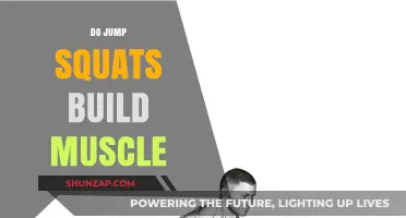Unleashing Power: How Jump Squats Sculpt Your Lower Body