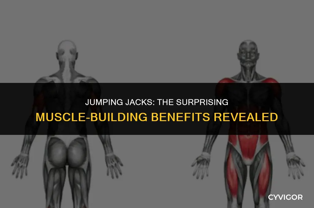 do jumping jacks build muscle