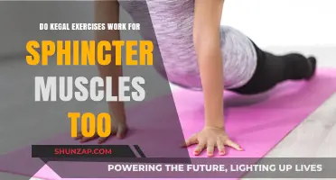 Kegel Exercises: Effective for Sphincter Muscle Strengthening and Control?