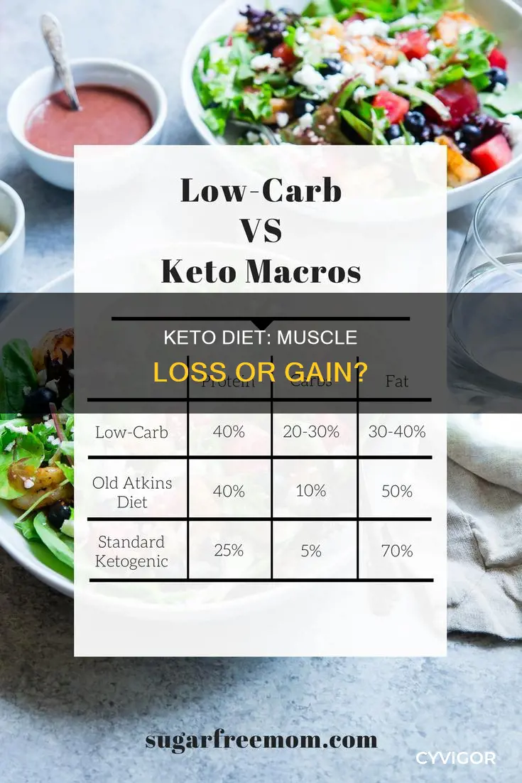 do keto diet loose muscle