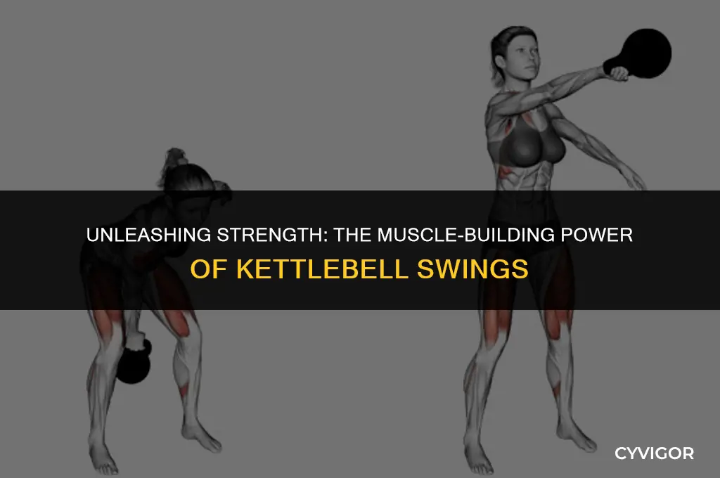 do kettlebell swings build muscle