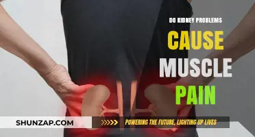 Kidney Problems: Can They Cause Muscle Pain?