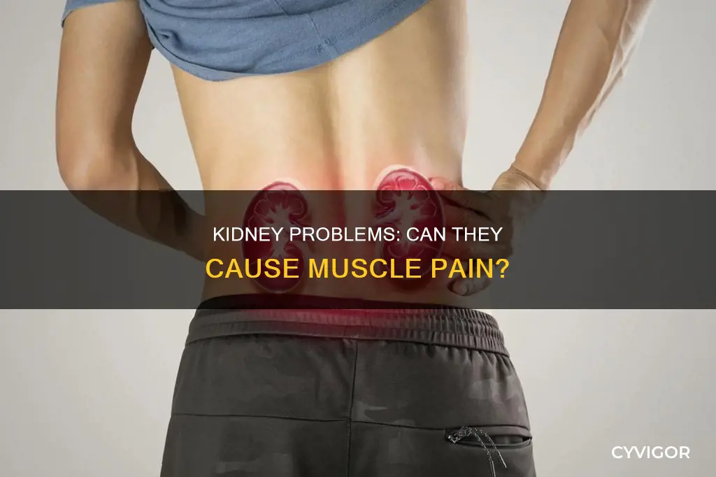 do kidney problems cause muscle pain