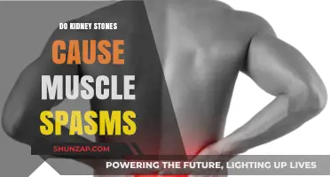 Kidney Stones and Muscle Spasms: What's the Connection?