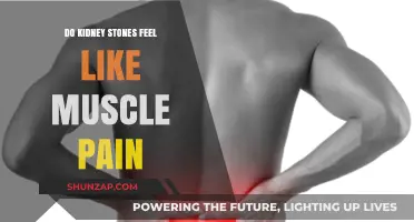 Kidney Stones vs. Muscle Pain: Understanding the Difference in Discomfort