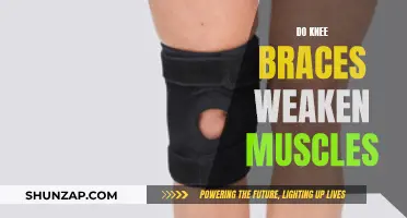 Knee Braces: Muscle Weakness or Strength?