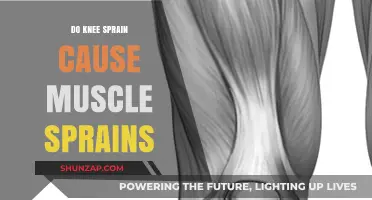 Knee Sprains: Do They Cause Muscle Strains?