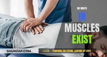 Knots in Muscles: Fact or Fiction?