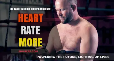 How Large Muscle Groups Impact Heart Rate During Exercise