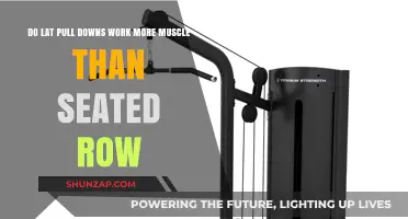 Lat Pull Downs vs Seated Rows: Which Works More Muscles?