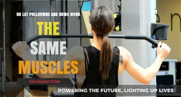 Lat Pulldowns vs. Rows: Targeting the Same Muscles?