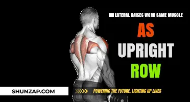 Lateral Raises vs. Upright Rows: Targeting the Same Muscles?