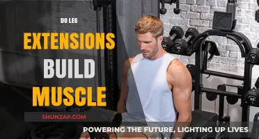 Unlocking Lower Body Strength: The Power of Leg Extensions