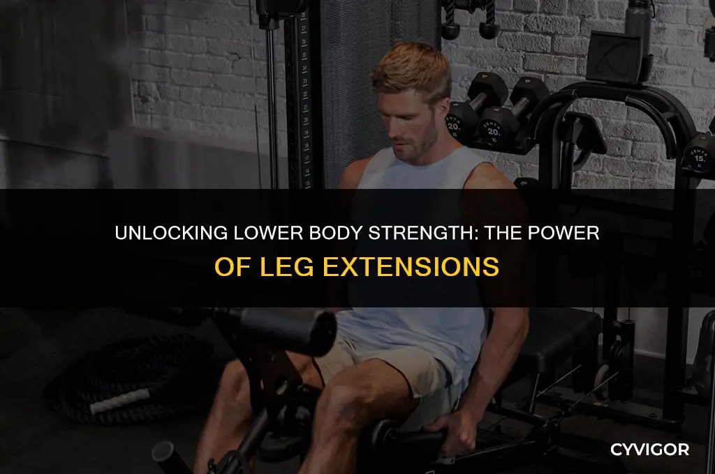 do leg extensions build muscle