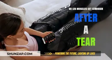 Rebuilding Strength: The Journey of Leg Muscles Post-Tear
