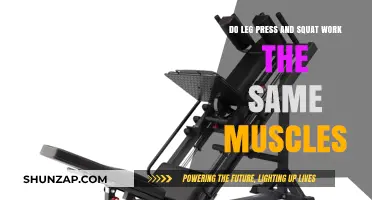 Leg Press vs. Squat: Which Muscles Do They Really Target?