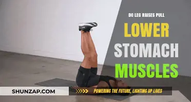Do Leg Raises Effectively Target Lower Stomach Muscles? Find Out
