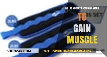 Do Leg Weights Build Muscle? Uncovering the Truth and Benefits