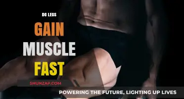 How Quickly Can Your Legs Build Muscle? Expert Insights Revealed