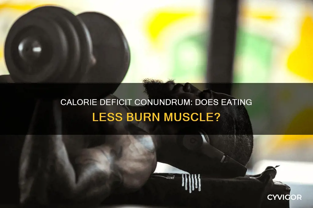 do less calories decrease muscle