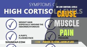 Cortisol, Muscle Pain, and You